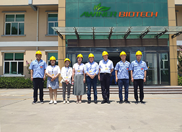 our professional team