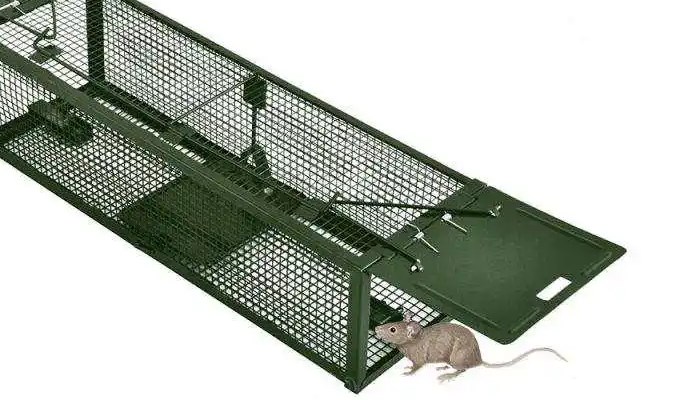 Different mouse traps are used in different ways. Please communicate with the seller carefully when purchasing to prevent yourself from being hurt.
