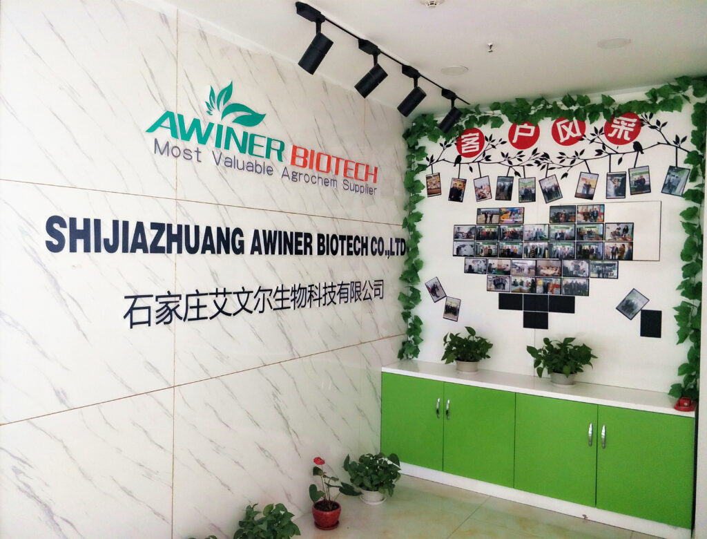 Display wall