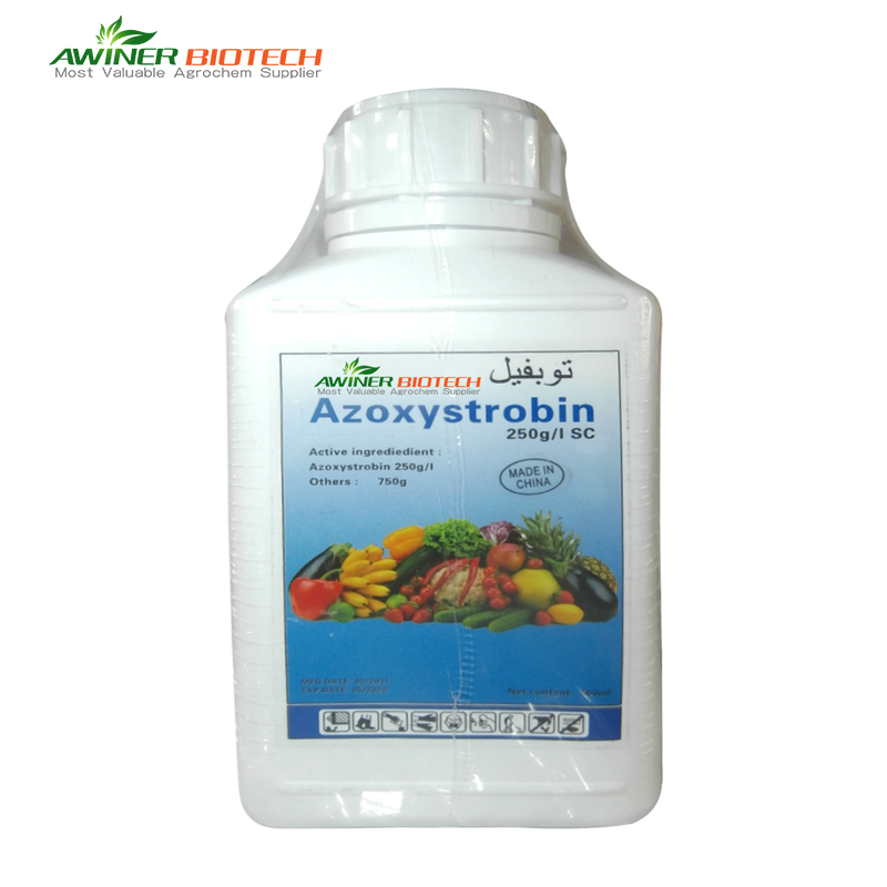 Azoxystrobin fungicide