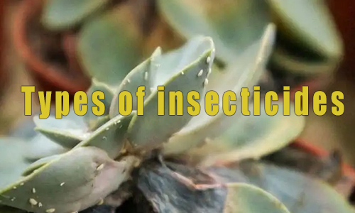 Types of insecticides used in agriculture