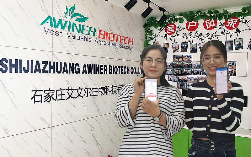 Awiner Brand