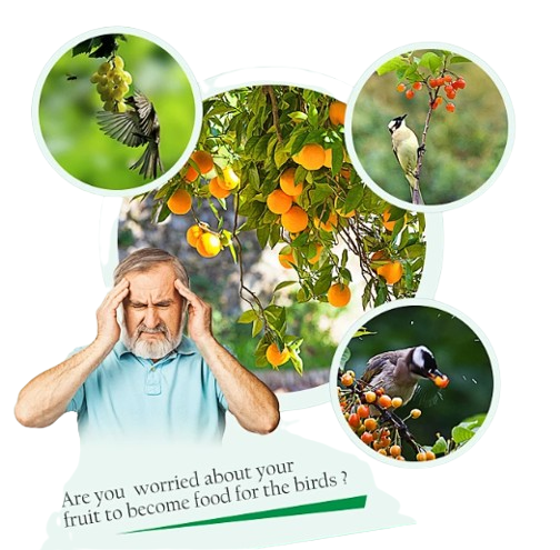 Bird Repellent Pesticides: Protecting Crops from Bird Damage
