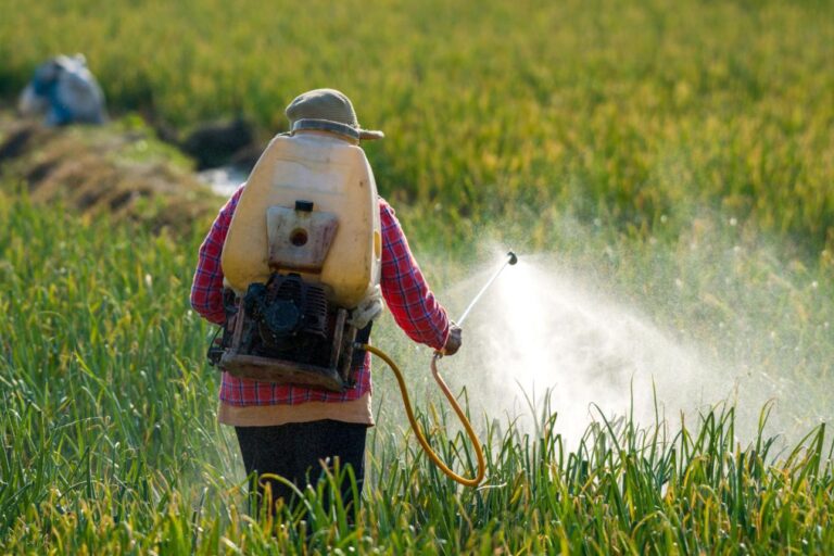 Penoxsulam mixture Herbicide to Solve Global Rice Weed Resistance Crisis